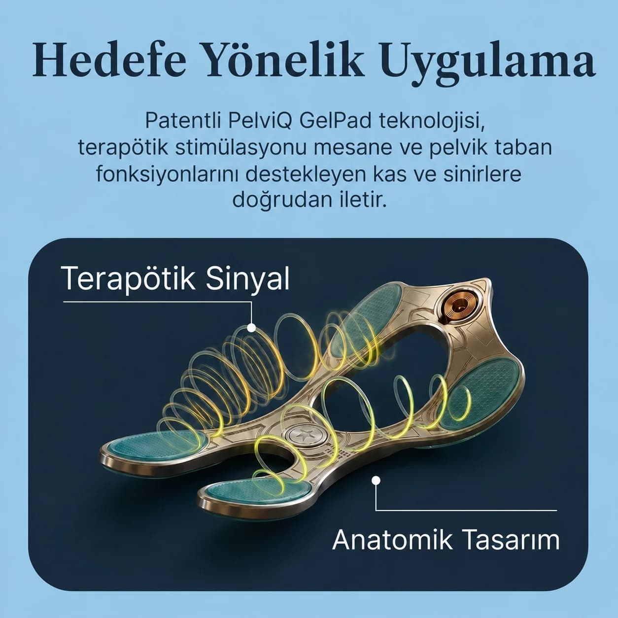 PelviQ görsel 2