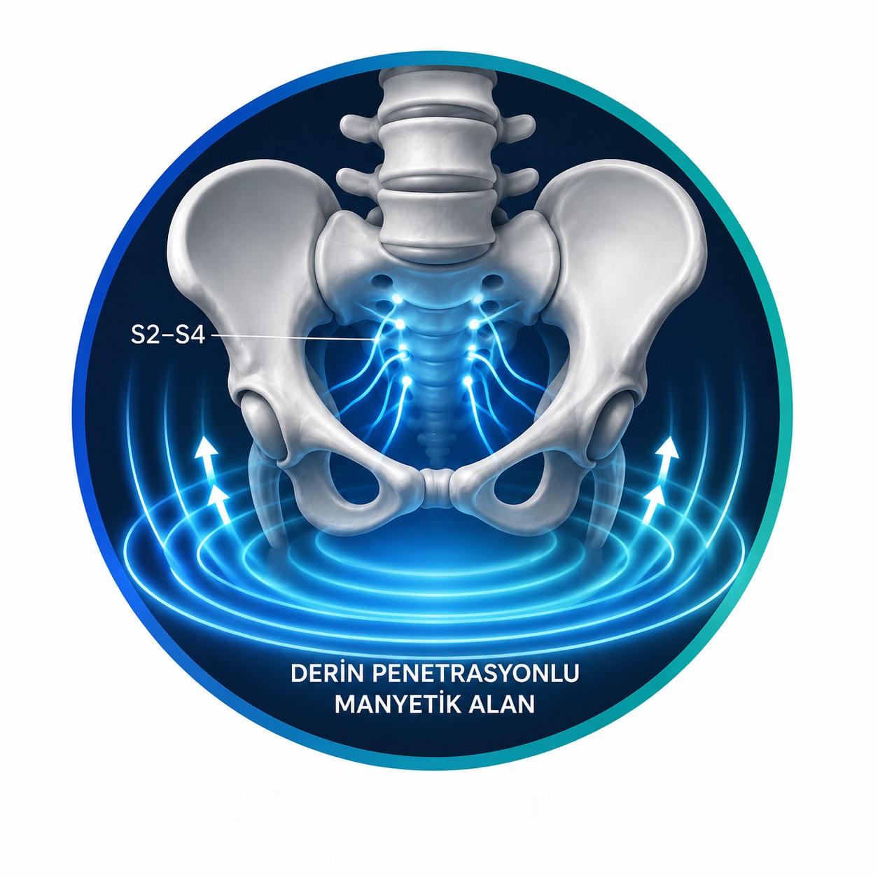 Elektromanyetik